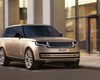 /slike/rapex_slike_arhiva/g2024/m08/Range Rover.jpg